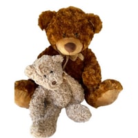 Teddy Bear